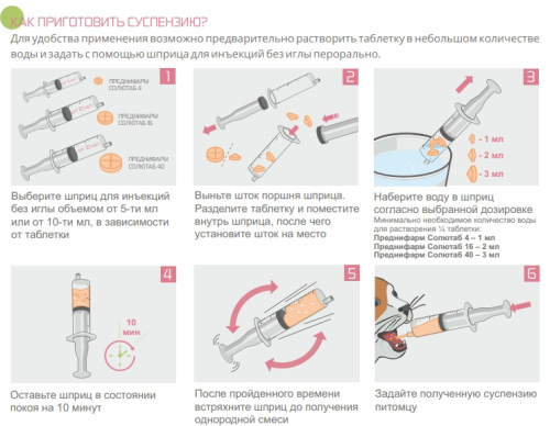 Преднифарм Солютаб, упаковка 20 таблеток по 16мг